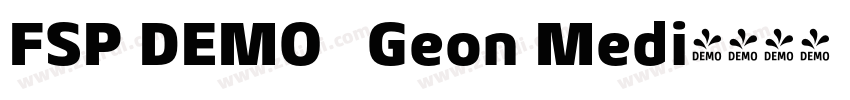 FSP DEMO   Geon Medi字体转换